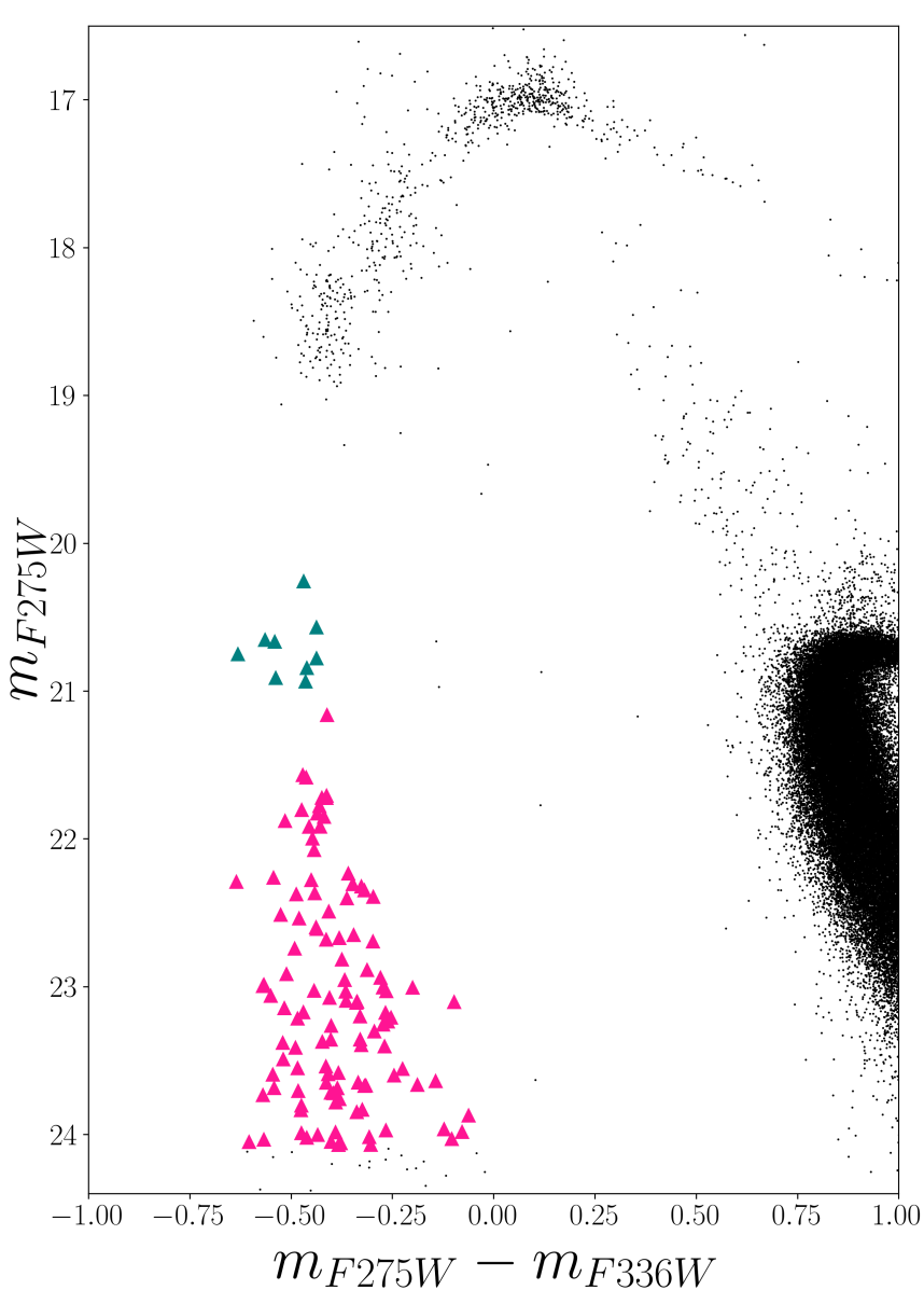White Dwarfs